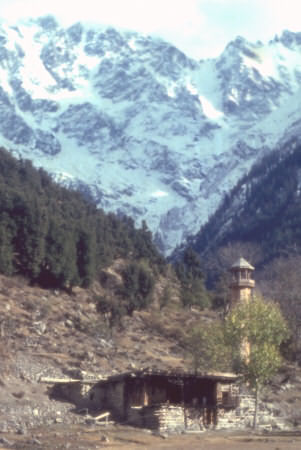 [Bild: In Swat]